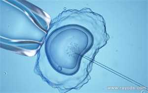 43岁卵试管受孕的概率_夫妻双方染色体正常，但流产胚胎染色体送检示异常的现