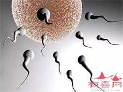 广州代生服务，何时同房受孕的机会高