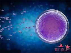 广州代生双胞胎机构，美国试管婴儿：子宫肌瘤切除后要多久才能移植囊胚？