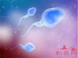 广州代生妈妈qq，玖珈壹试管生殖中心，子宫切除还可以生自己的宝宝吗？